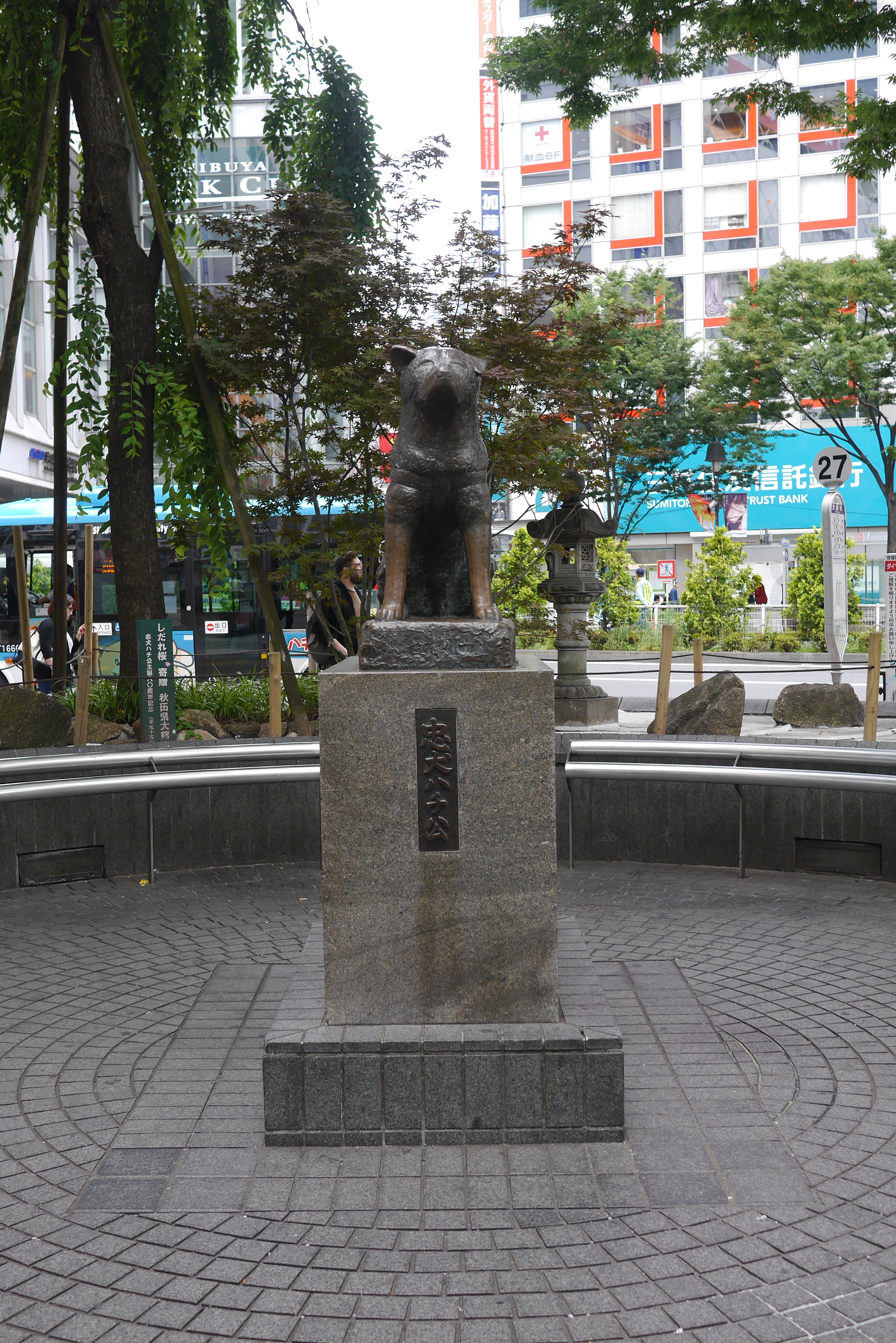 2018_06_17_07_41_IMG_4170