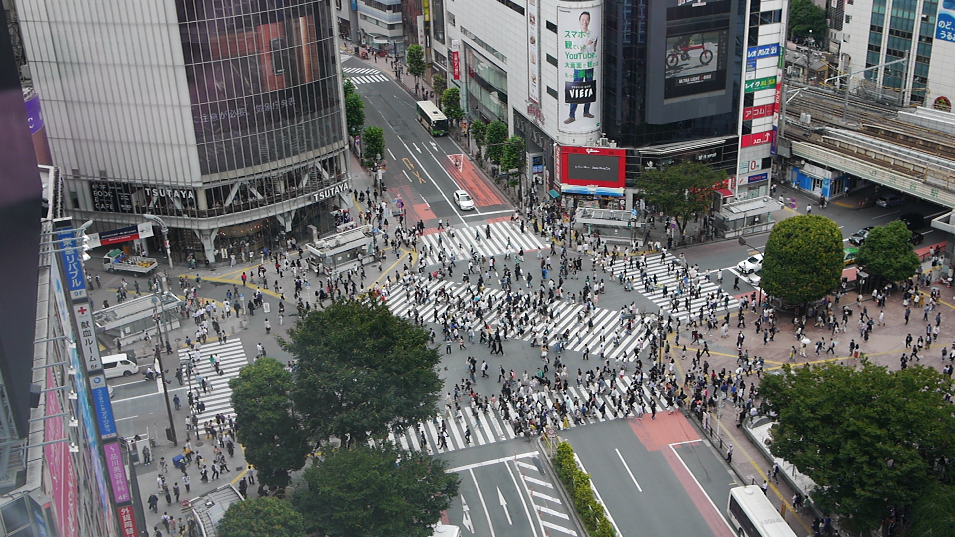 2018_06_17_09_42_IMG_3780